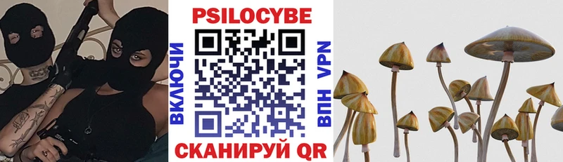 Псилоцибиновые грибы GOLDEN TEACHER Севск
